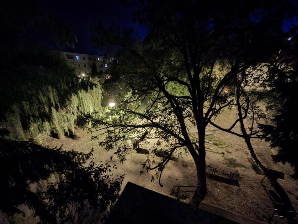 The Future Residence Sfântu-Gheorghe Εξωτερικό φωτογραφία
